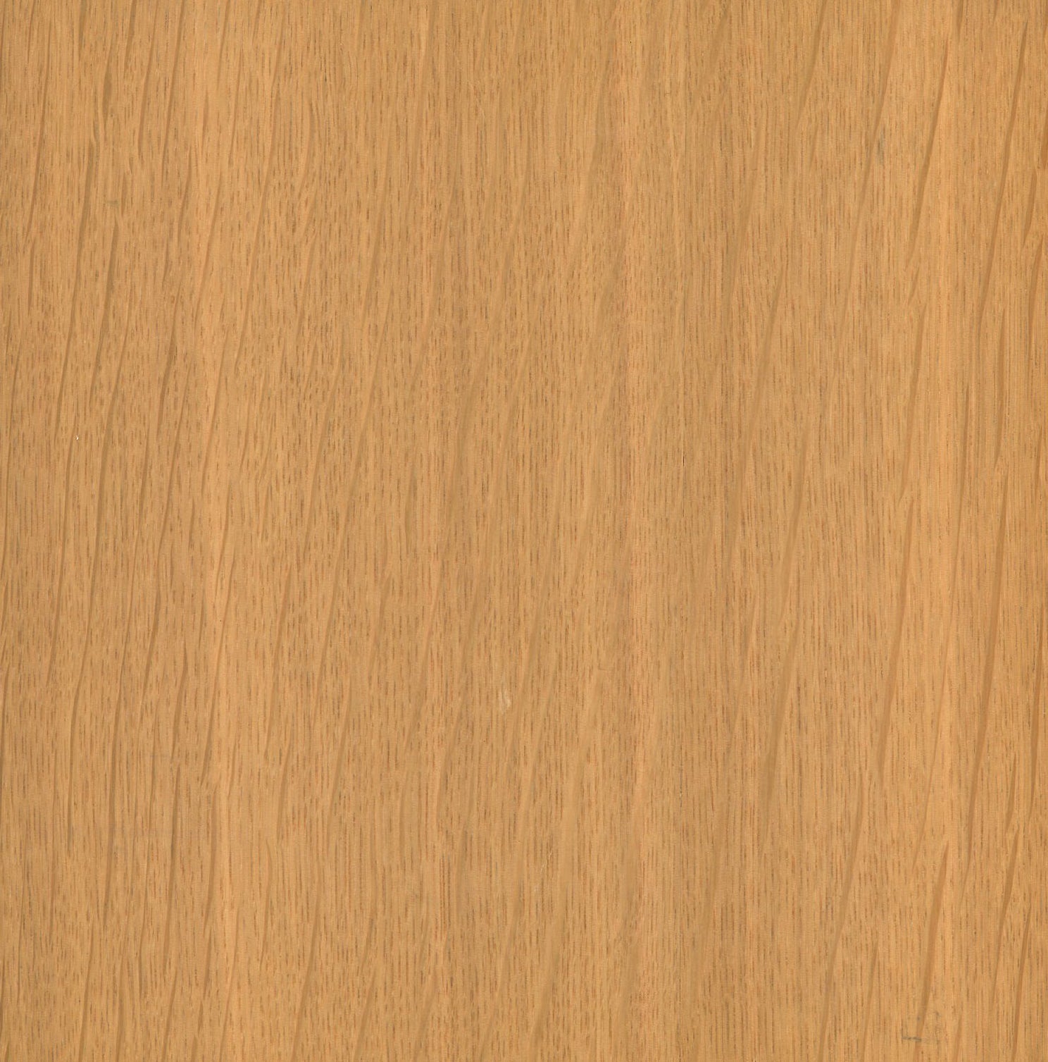 OAK