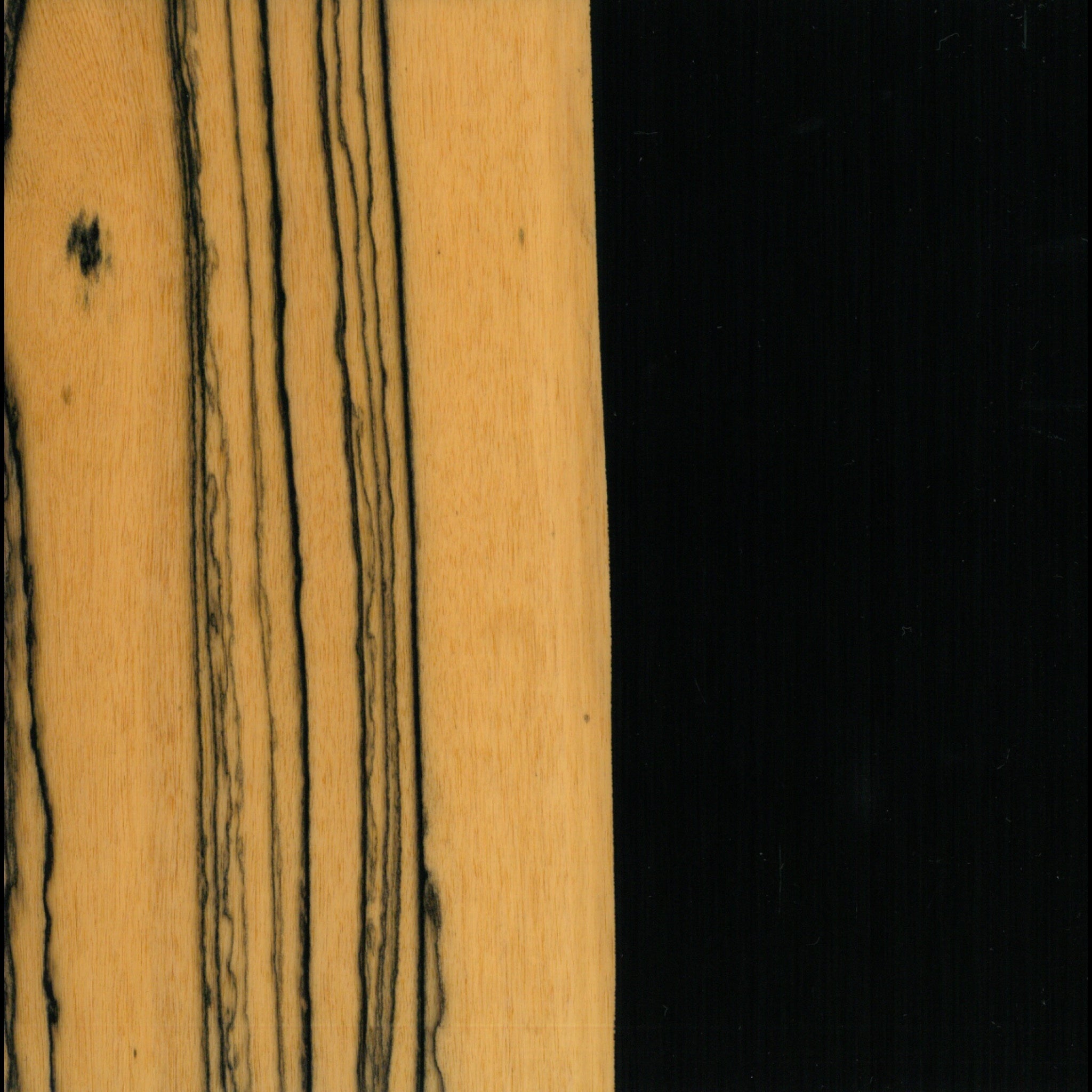 WOODS & LACQUERS