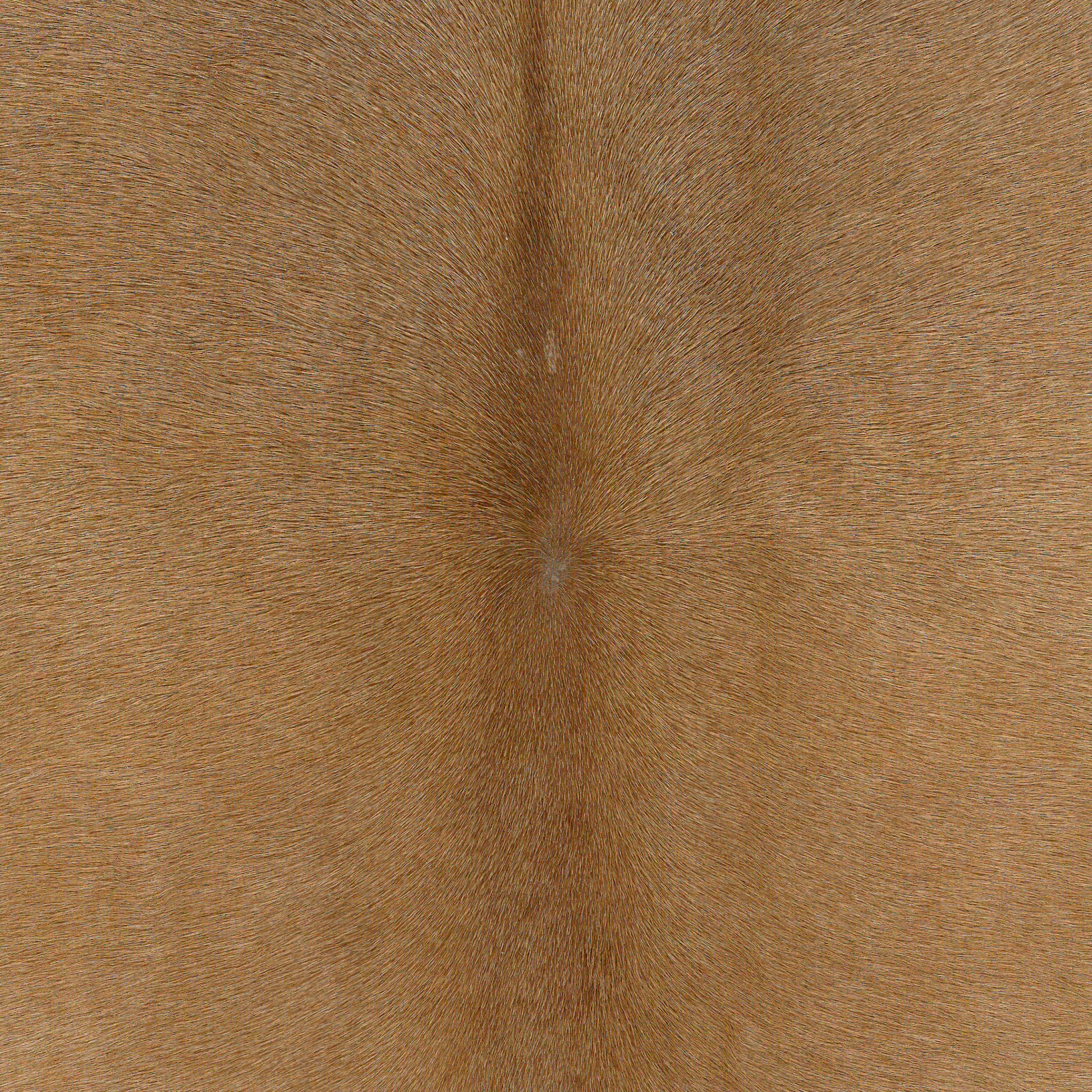 BEIGE CAVALLINO