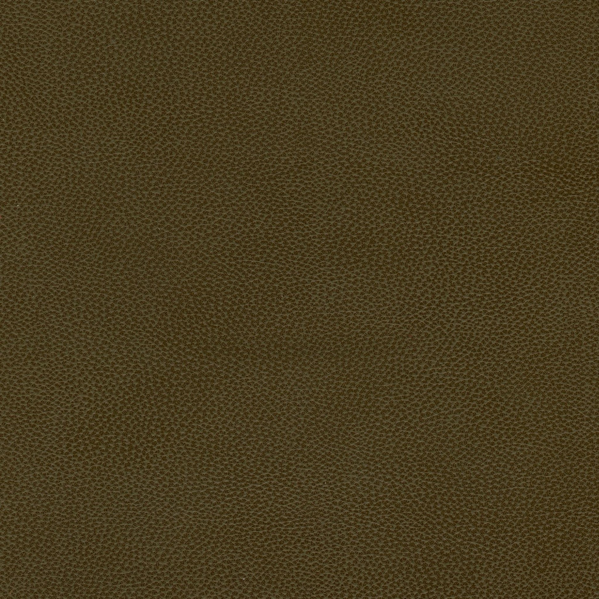 Camouflage