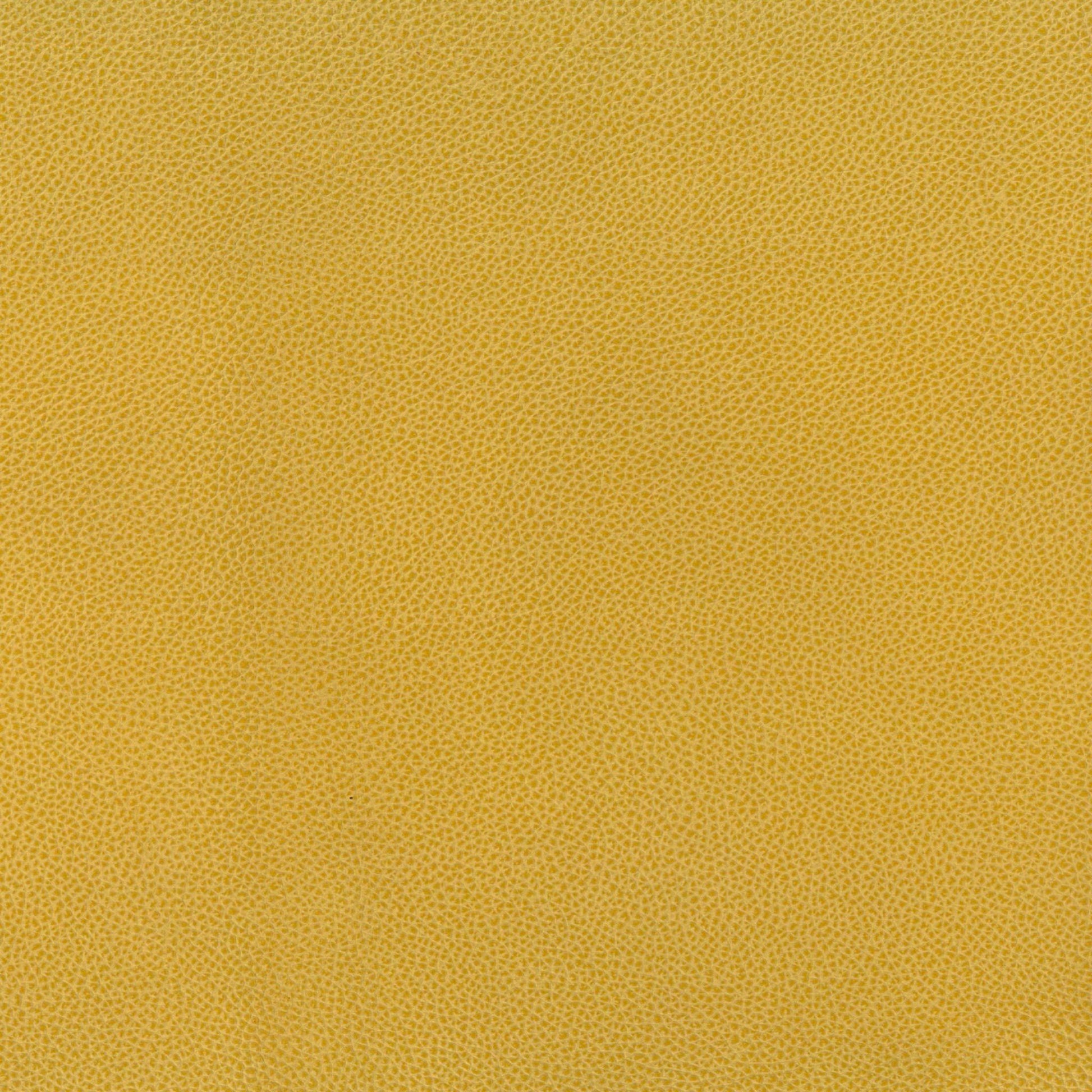Jaune De Cassel