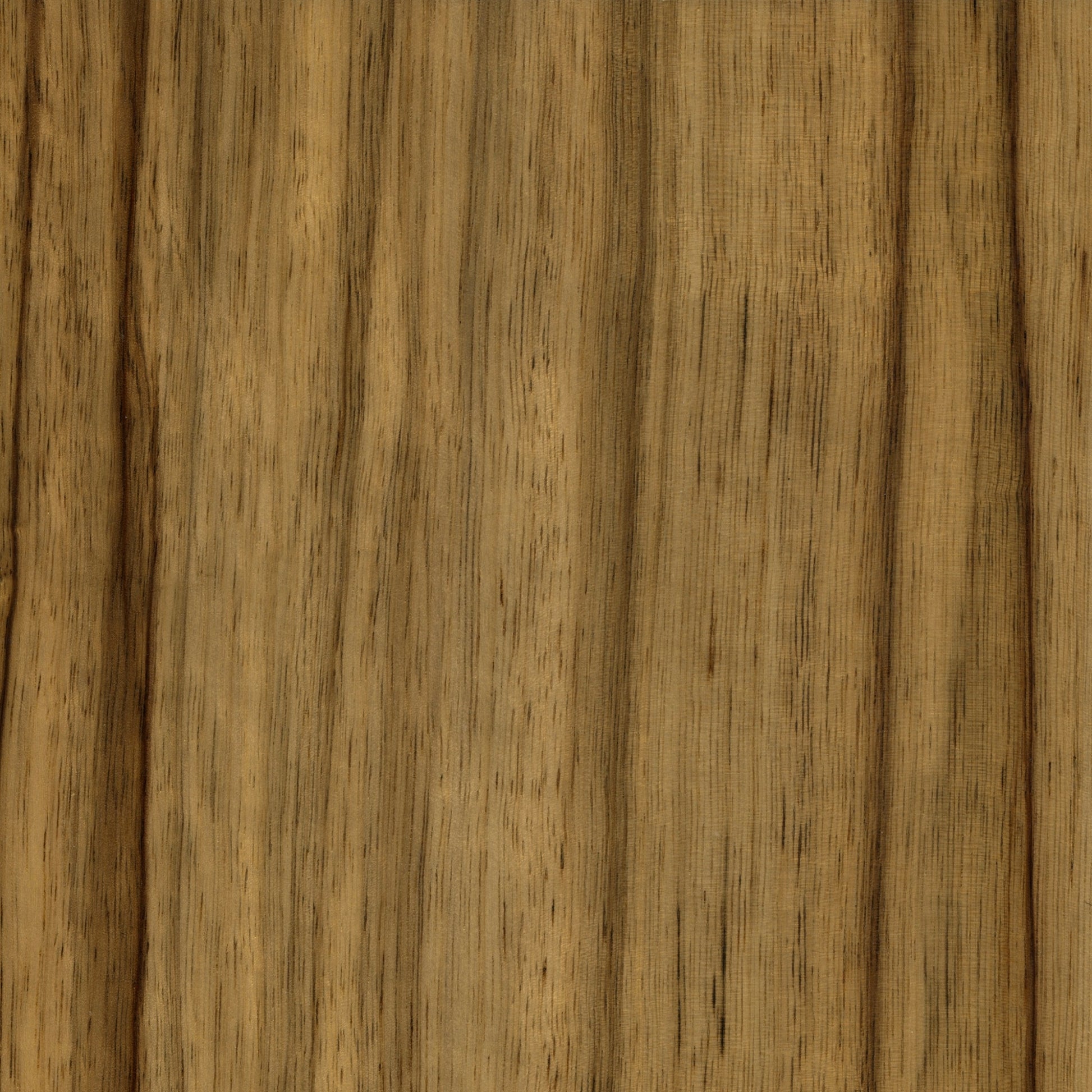 Jamaican Dogwood Poivre High Gloss