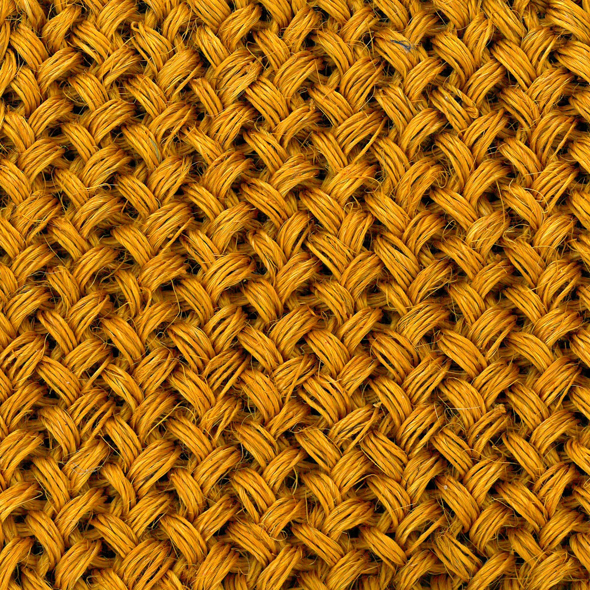 Ocre clair