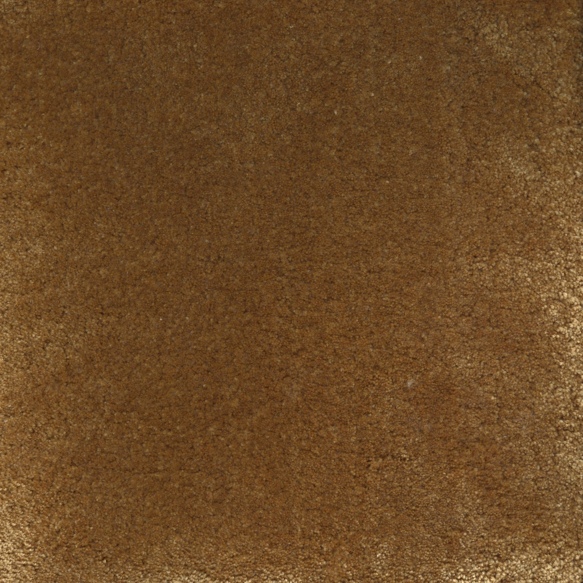 Ambre