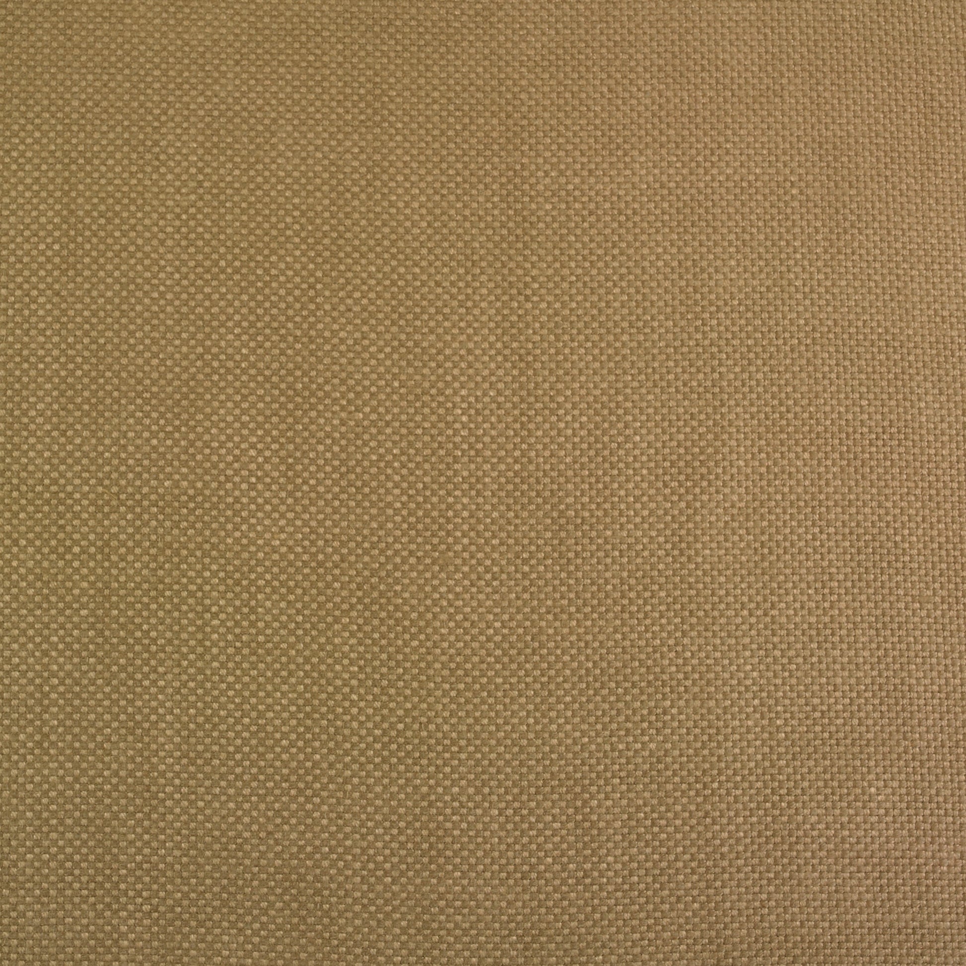 Antilope