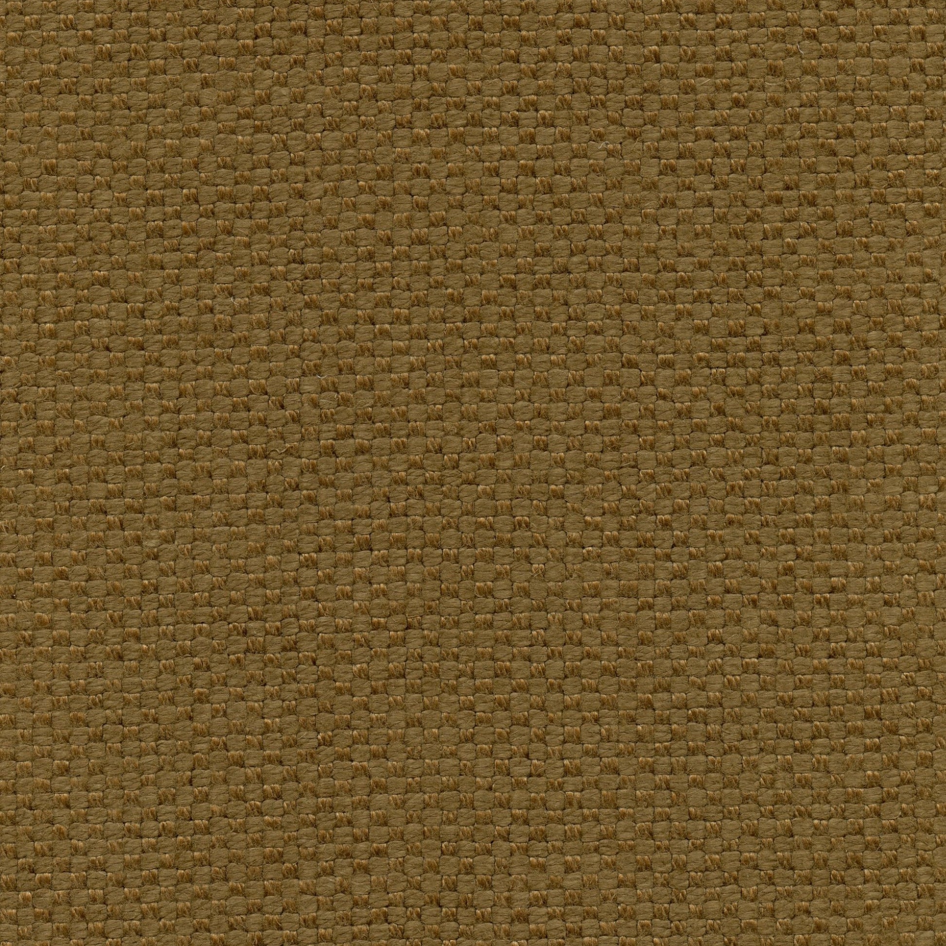 Caïman