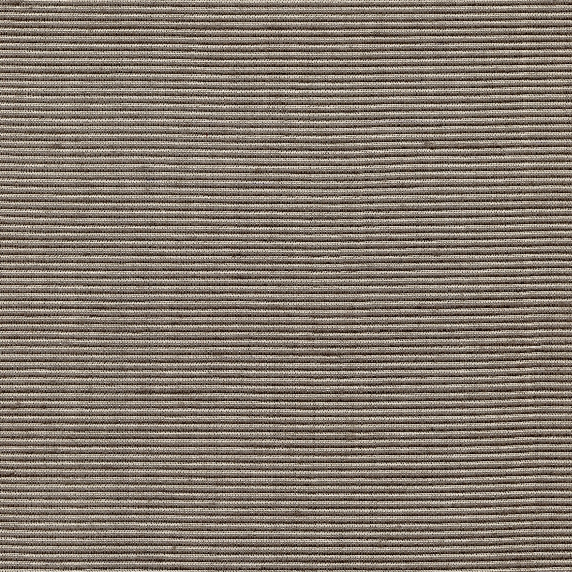 Junco