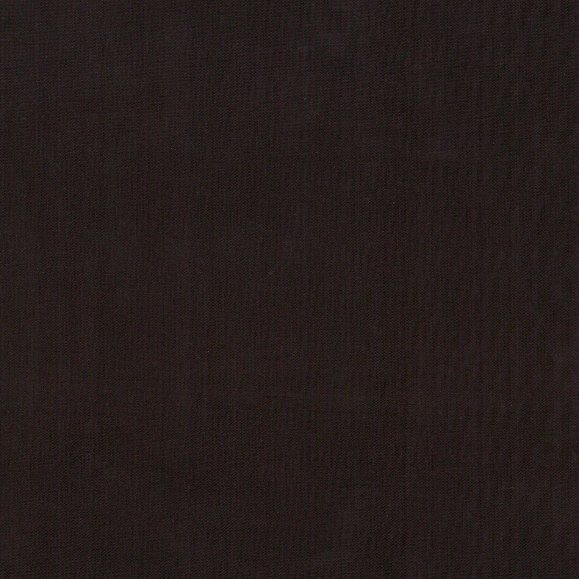 Tulipe Noire