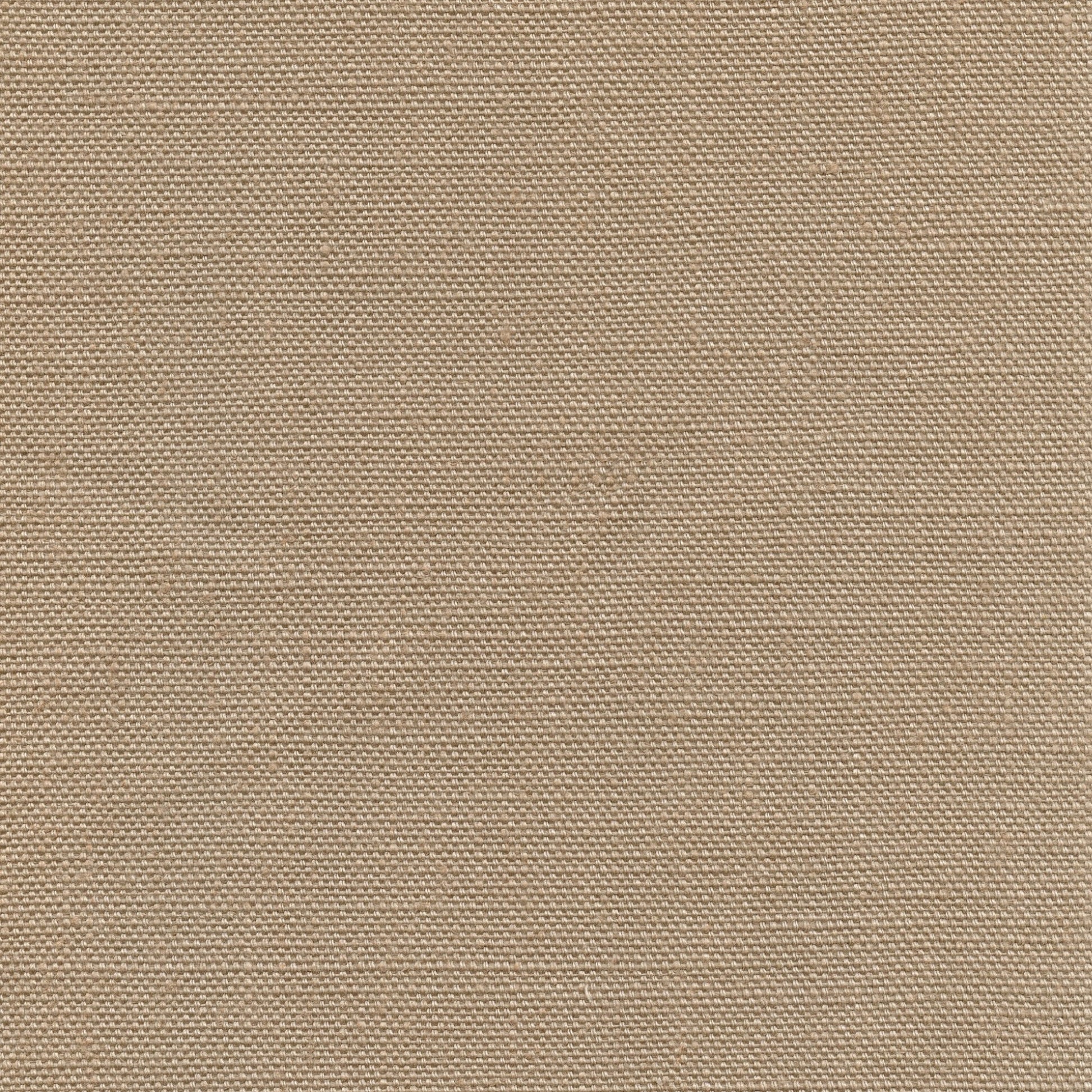 Musc 6237
