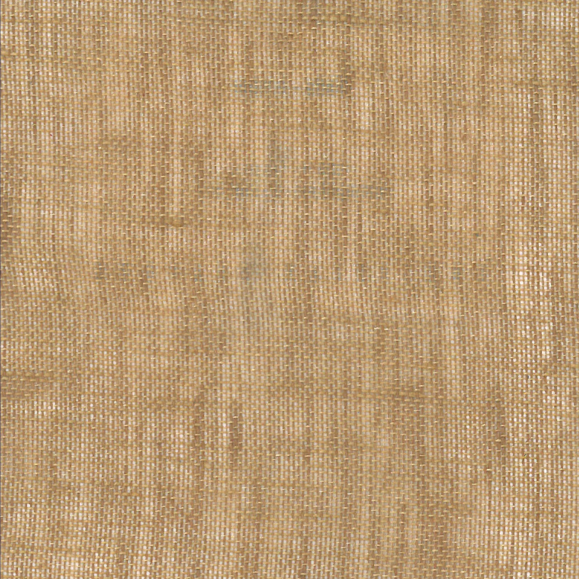 Ambre