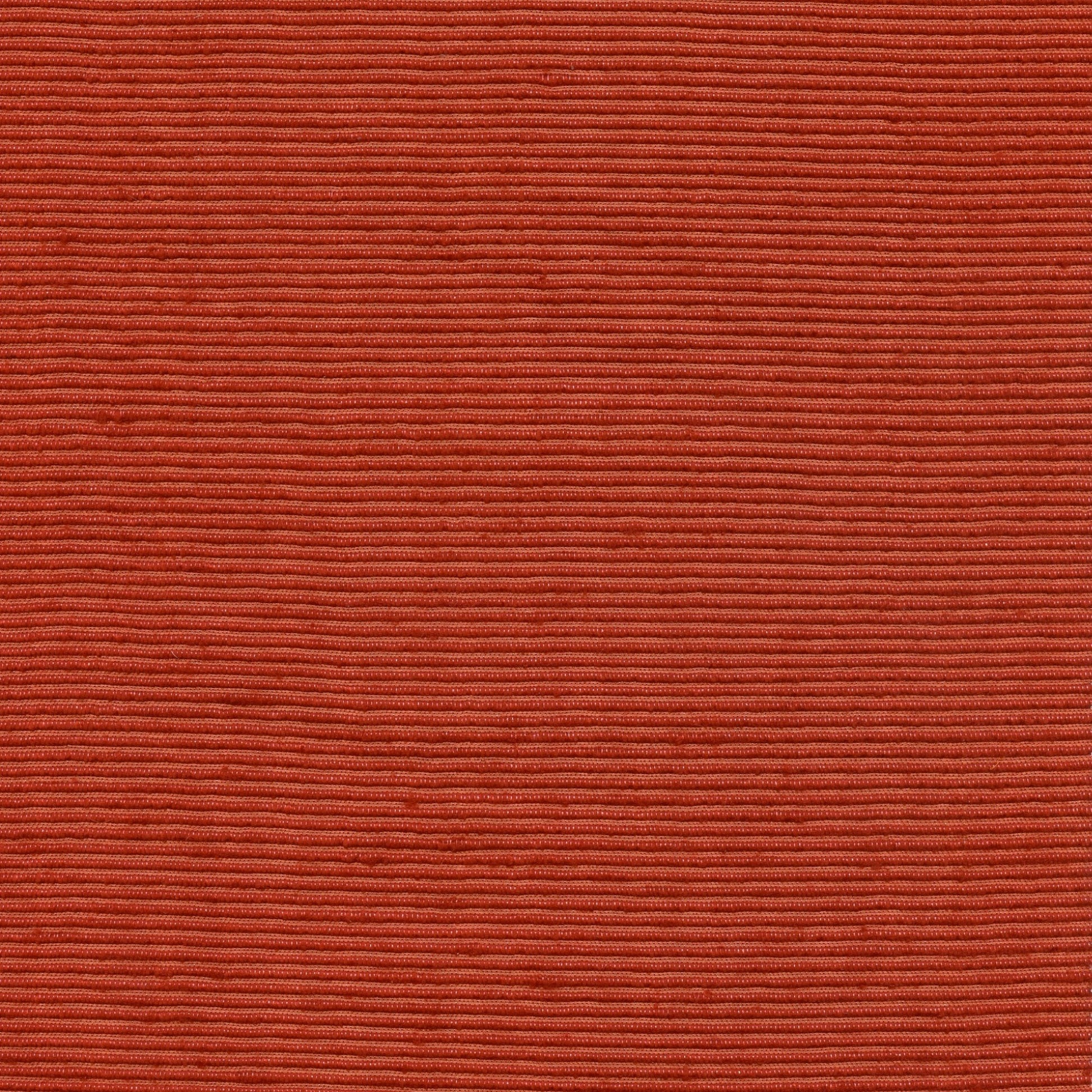 Paradisier