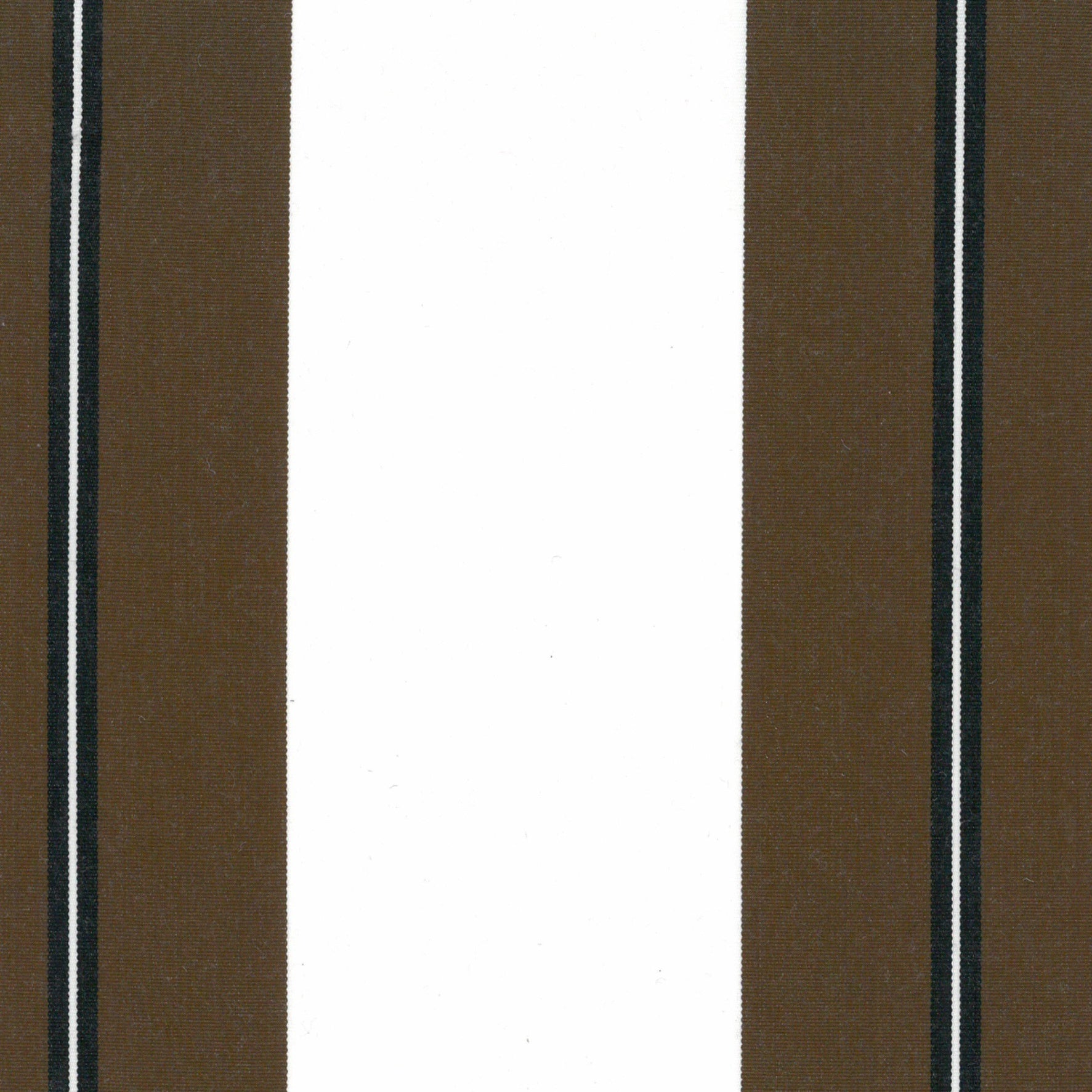 Canne à sucre