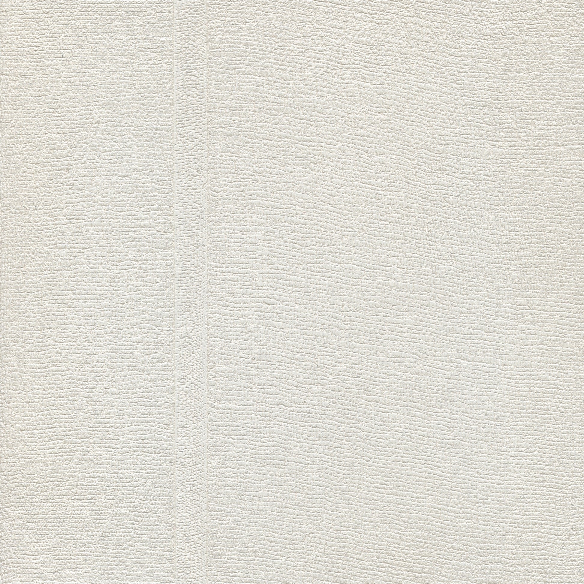 Tulle Blanc