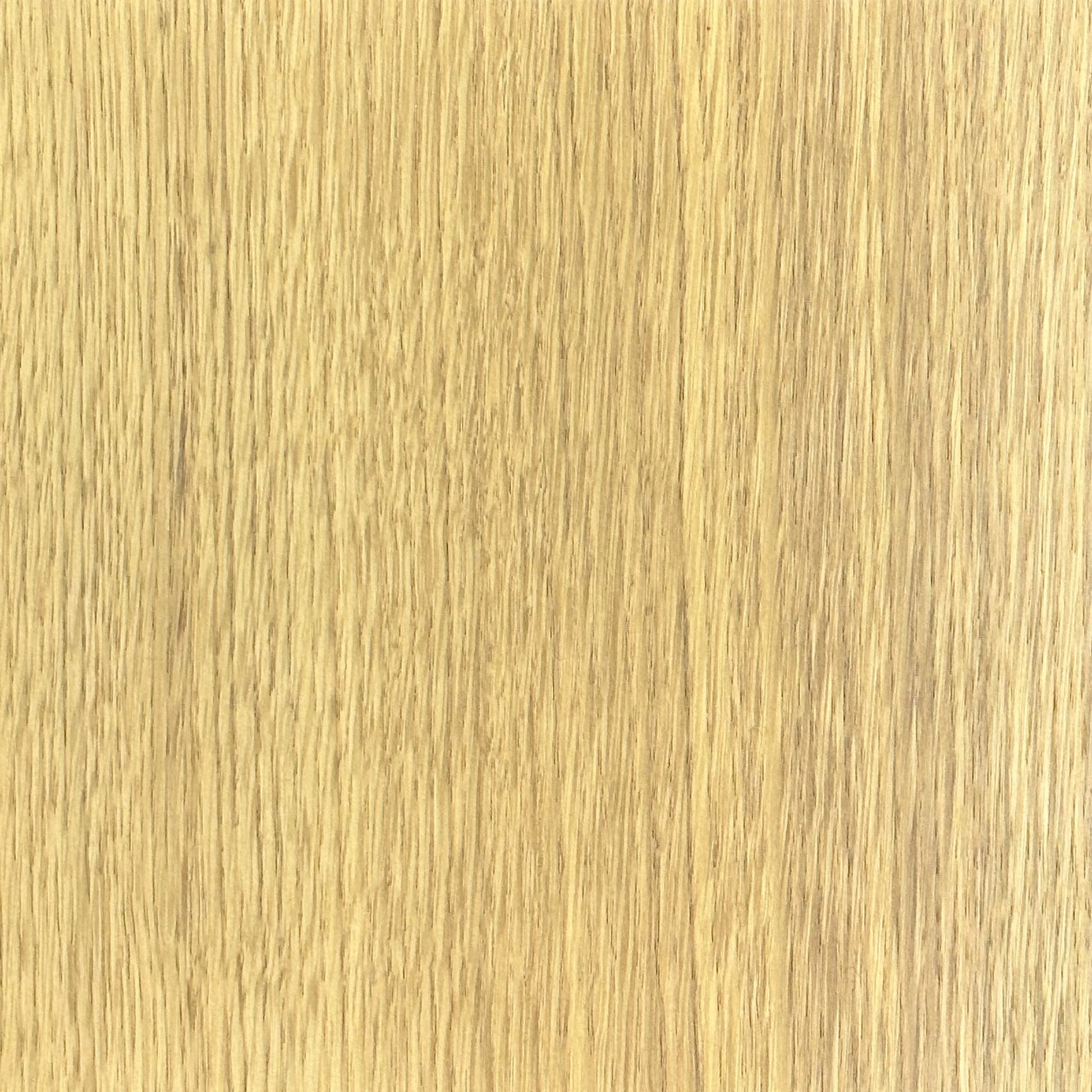 Chêne Ficelle