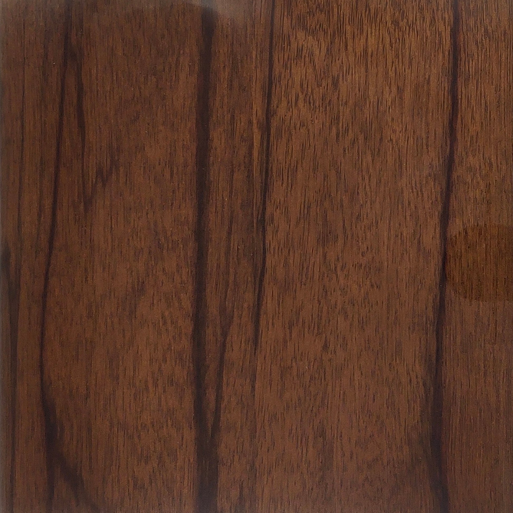 JAMAICAN DOGWOOD CORVETTE HIGH GLOSS