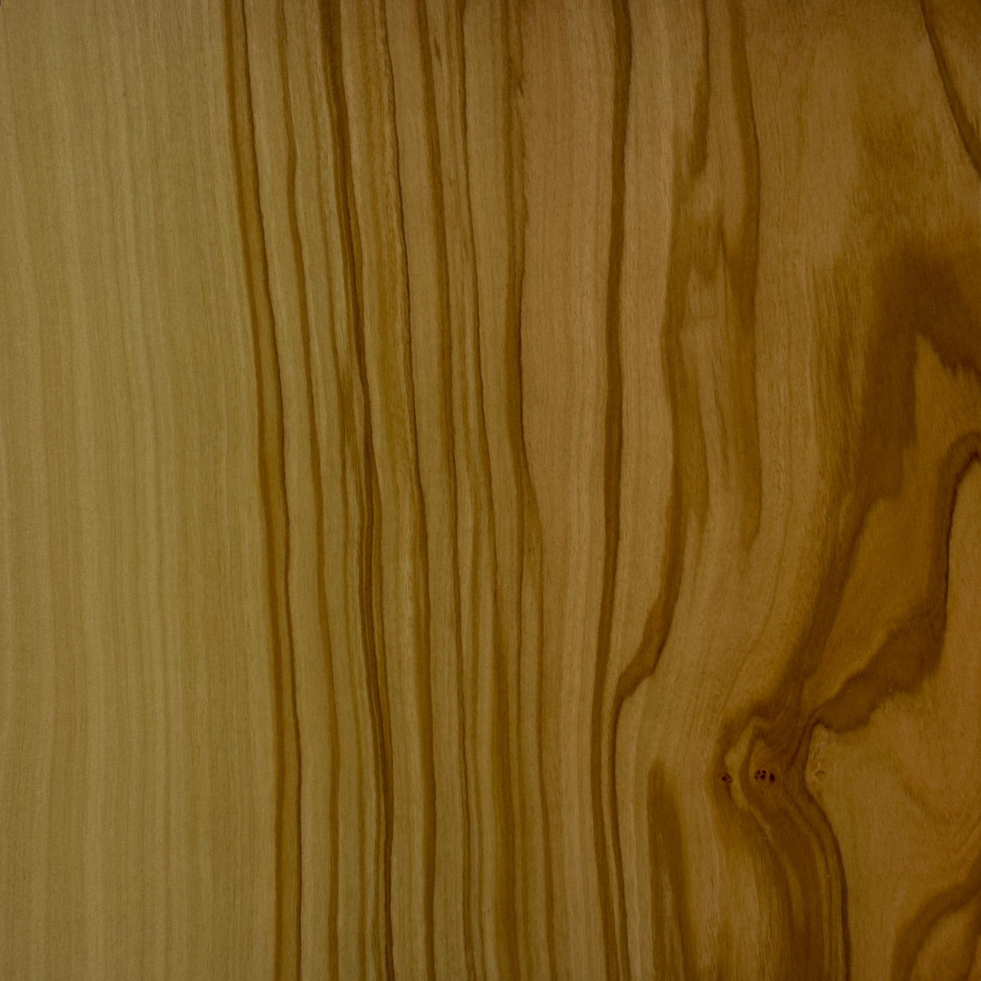 Bois d'olivier naturel