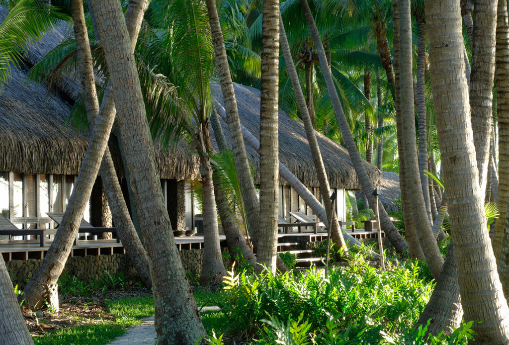 MOTU TANE, BORA BORA