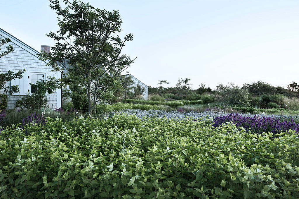 NANTUCKET, États-Unis